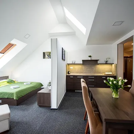 Wellness Ferrata Penzion