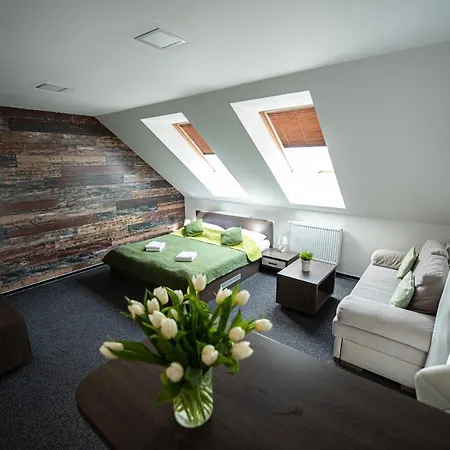 Penzion Wellness Ferrata Martin