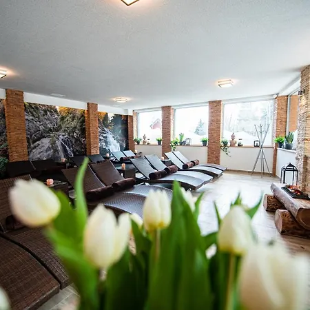 Penzion Wellness Ferrata 3*